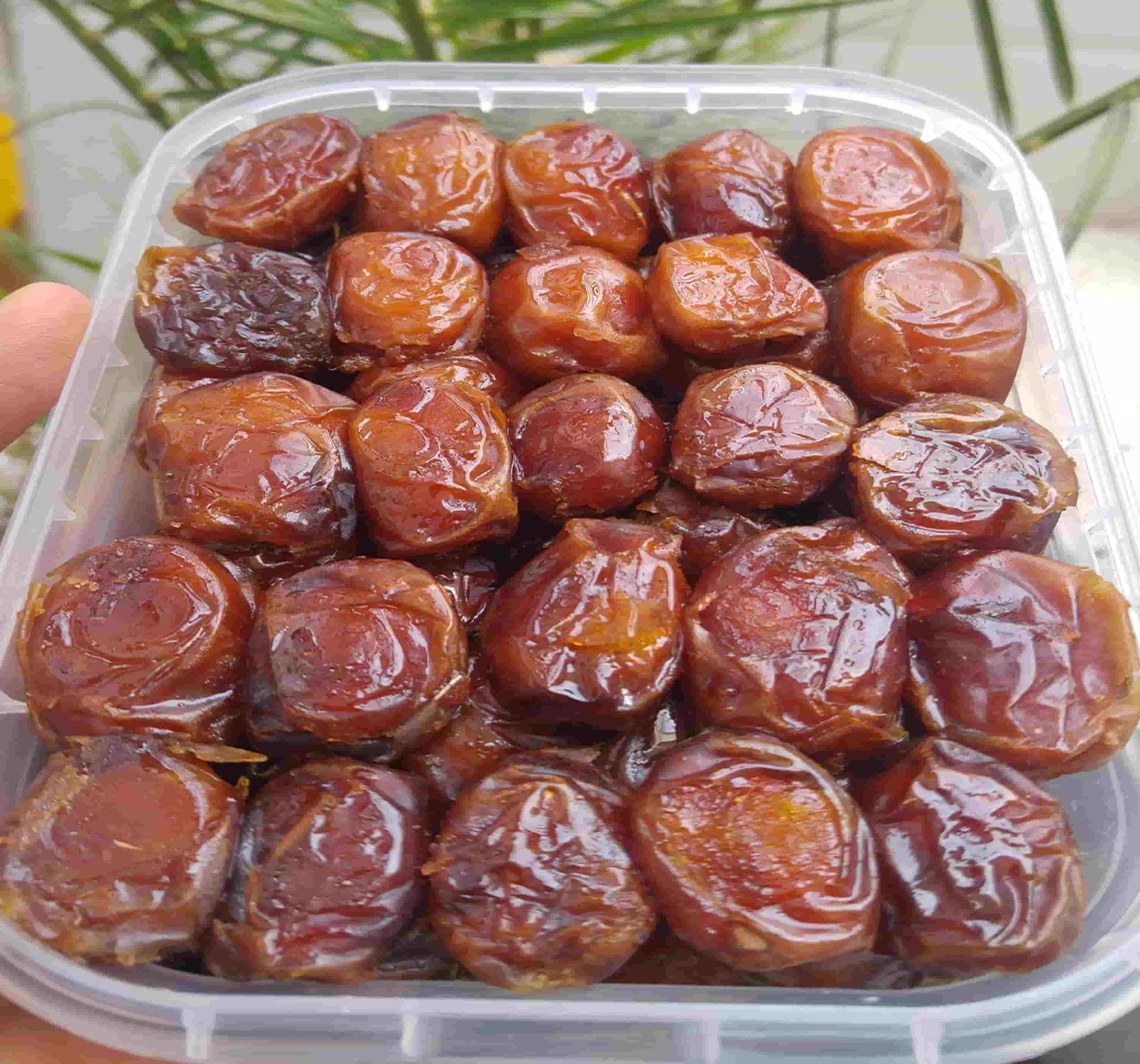 قیمت خرما خاصویی در مراکز پخش جنوب